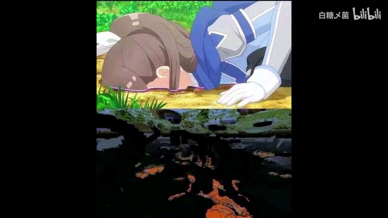 1585832425265.jpeg
