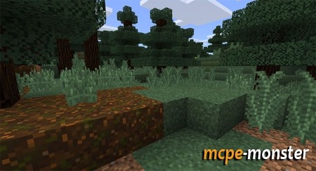 1535891180_simple-sides-1.jpg