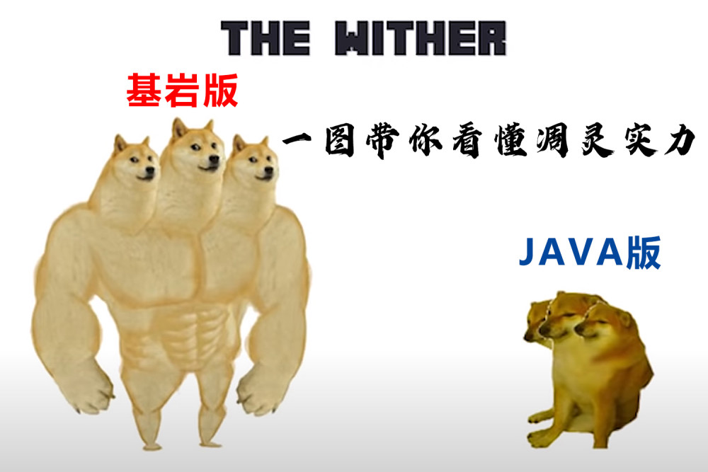 1000.jpg