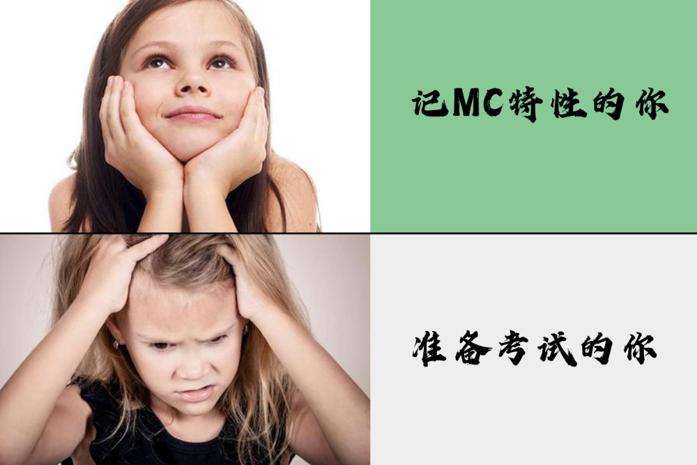 1000.jpg