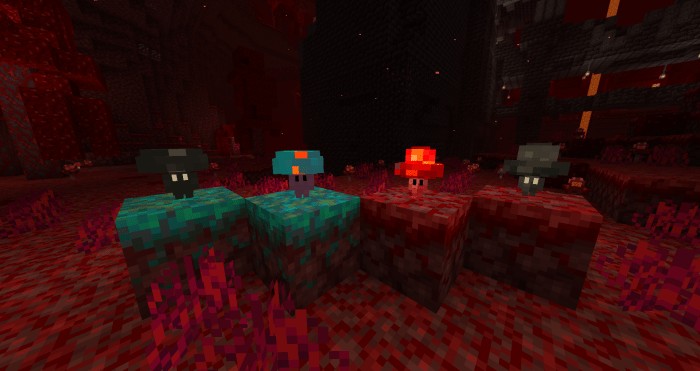 nether-plus-addon_54.jpg