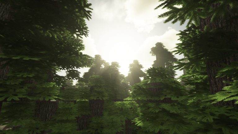2020-02-15_14.33.39-768x433.png