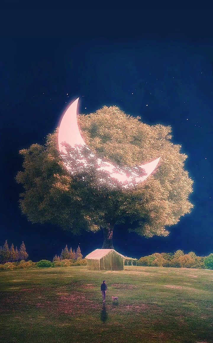 超级截屏_20201105_222017.png