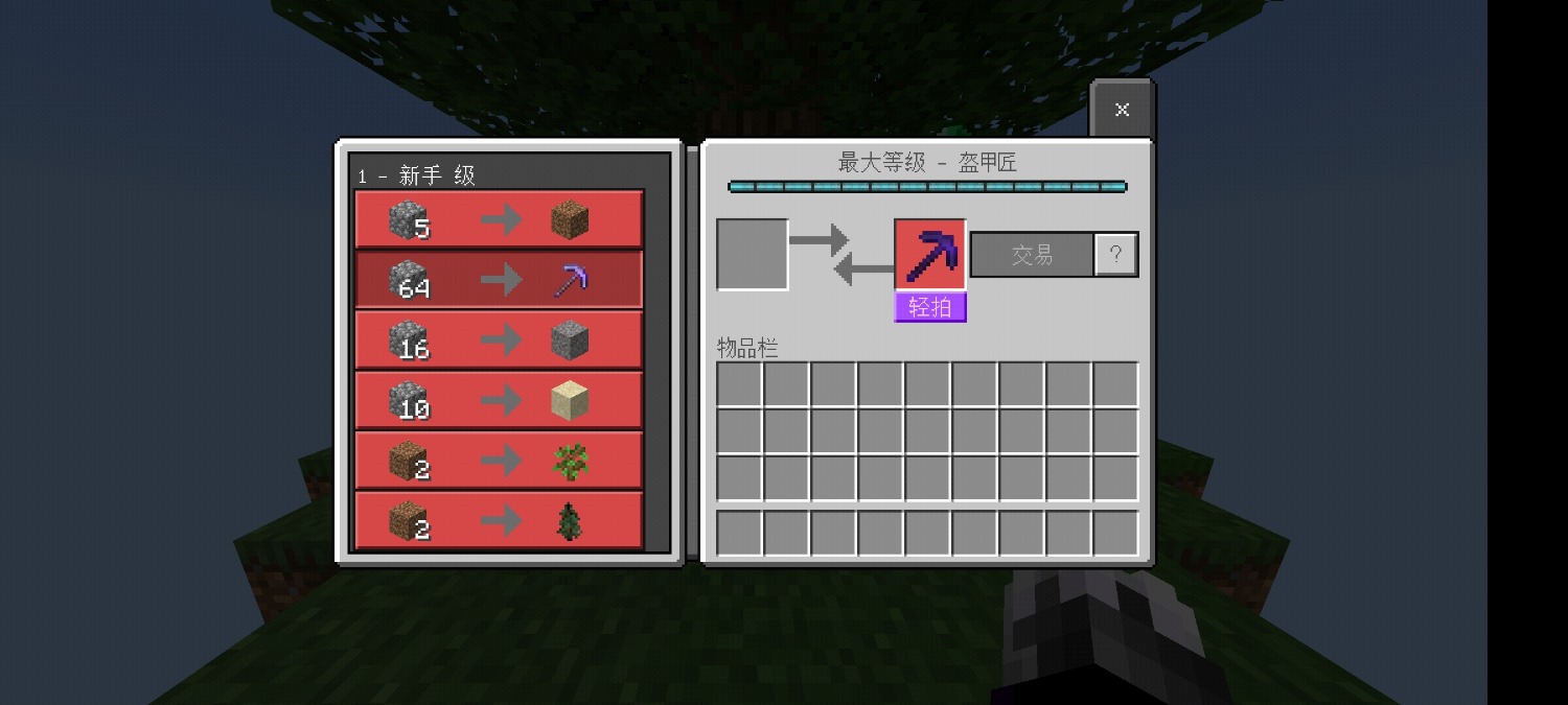 Screenshot_20210115_225308_com.mojang.minecraftpe.jpg