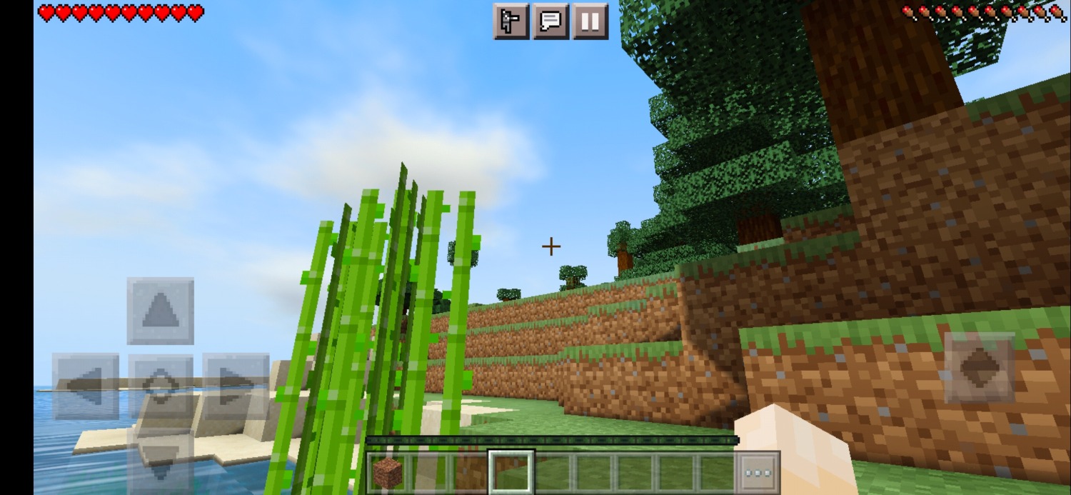 Screenshot_20210202_095816.jpg