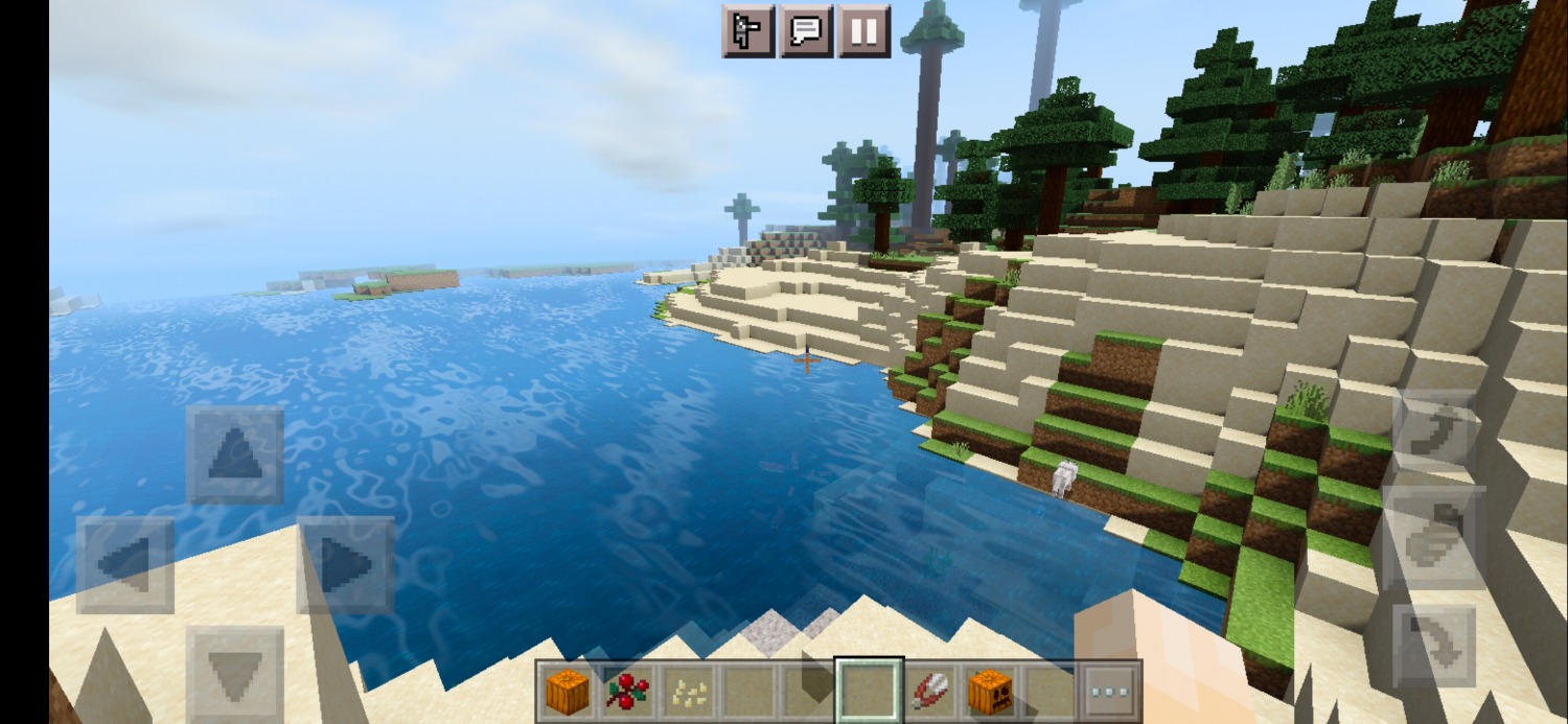 Screenshot_20210202_100339.jpg