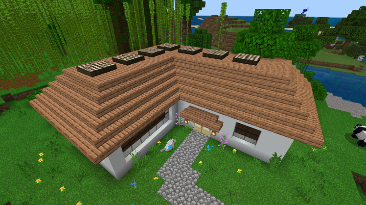 Minecraft%204_9_2021%2011_06_01%20AM.png