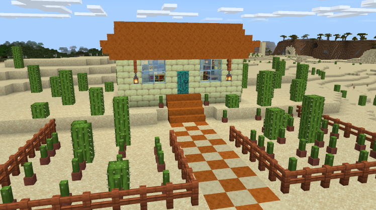 Minecraft%204_9_2021%2011_06_01%20AM%20(3).png
