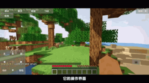 bili_v_1619699766809.gif