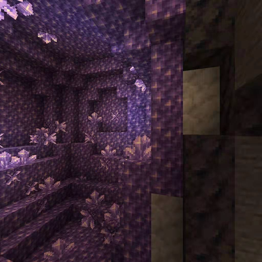 panorama_1(1).png