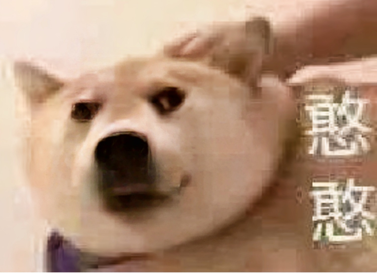14a0cb4298390e3a.jpg