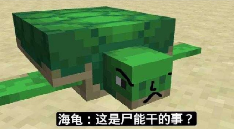 1643526679887.jpg