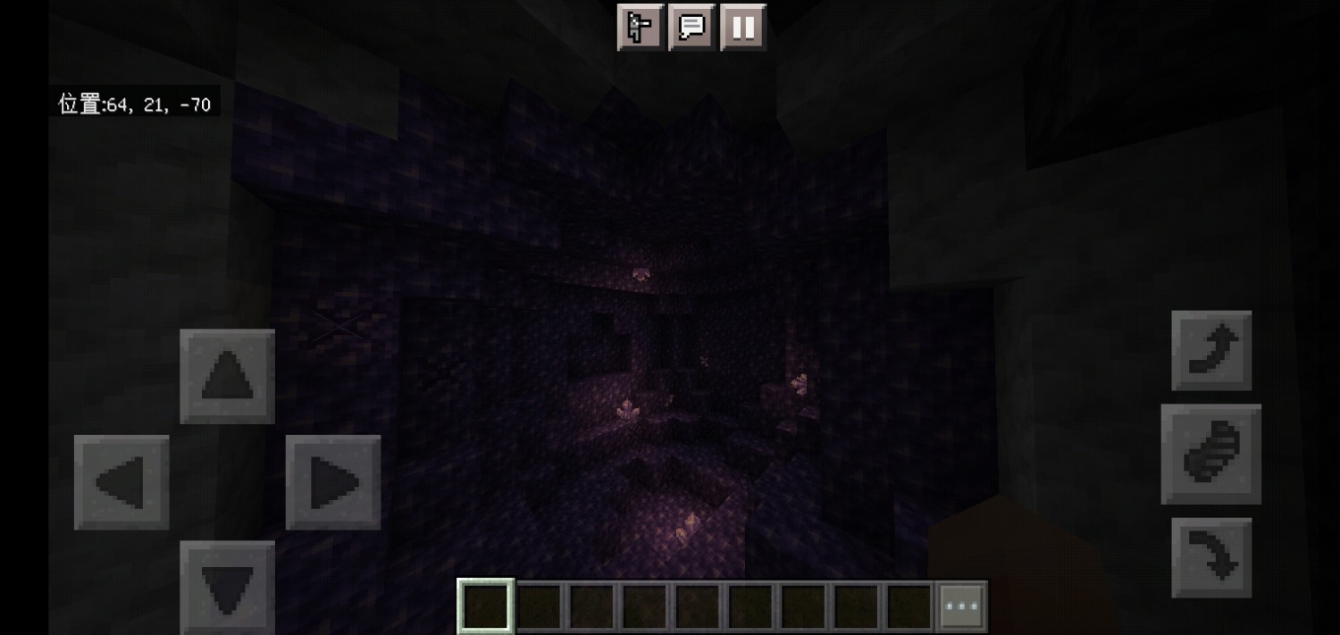 Screenshot_2022-02-03-08-29-40-920_com.mojang.minecraftpe.jpg
