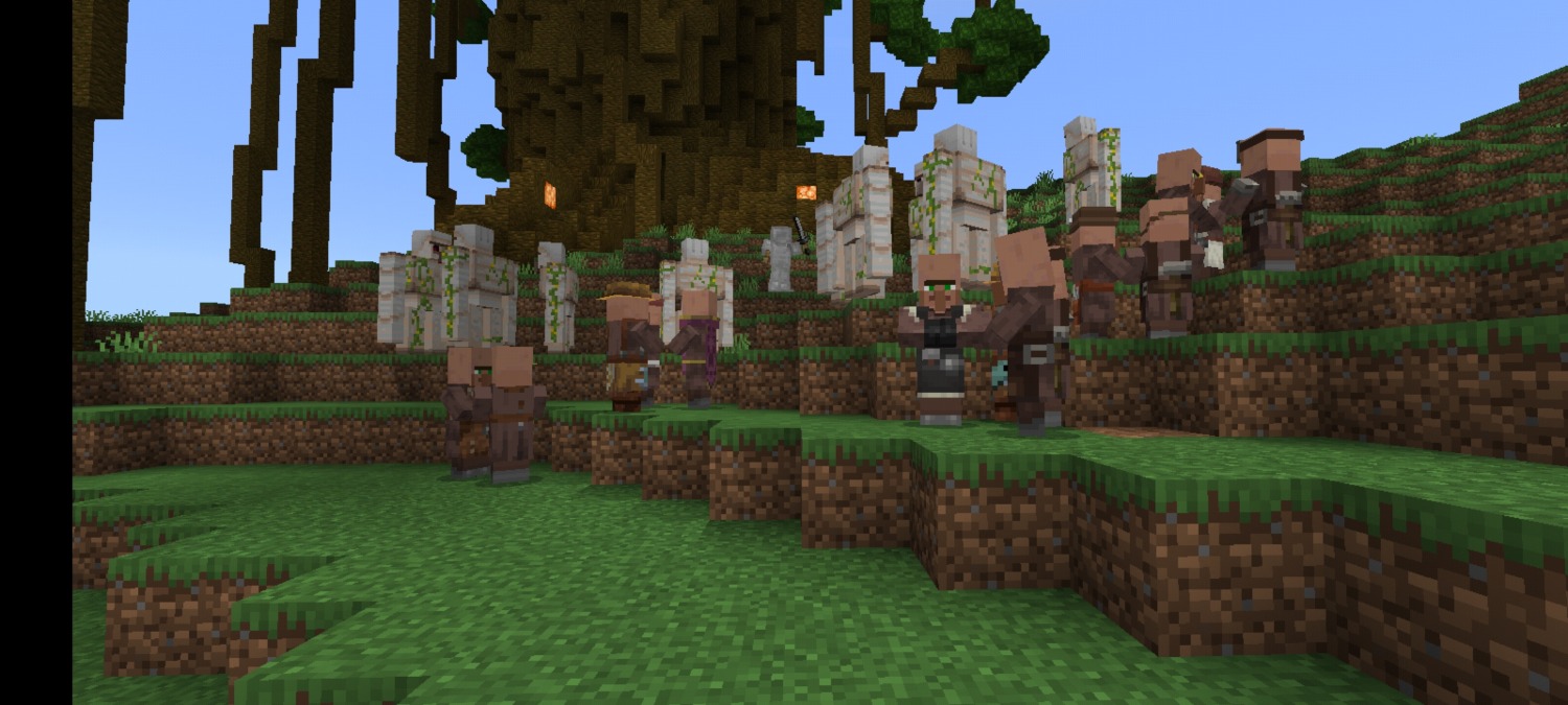Screenshot_20220205_171840_com.mojang.minecraftpe.jpg