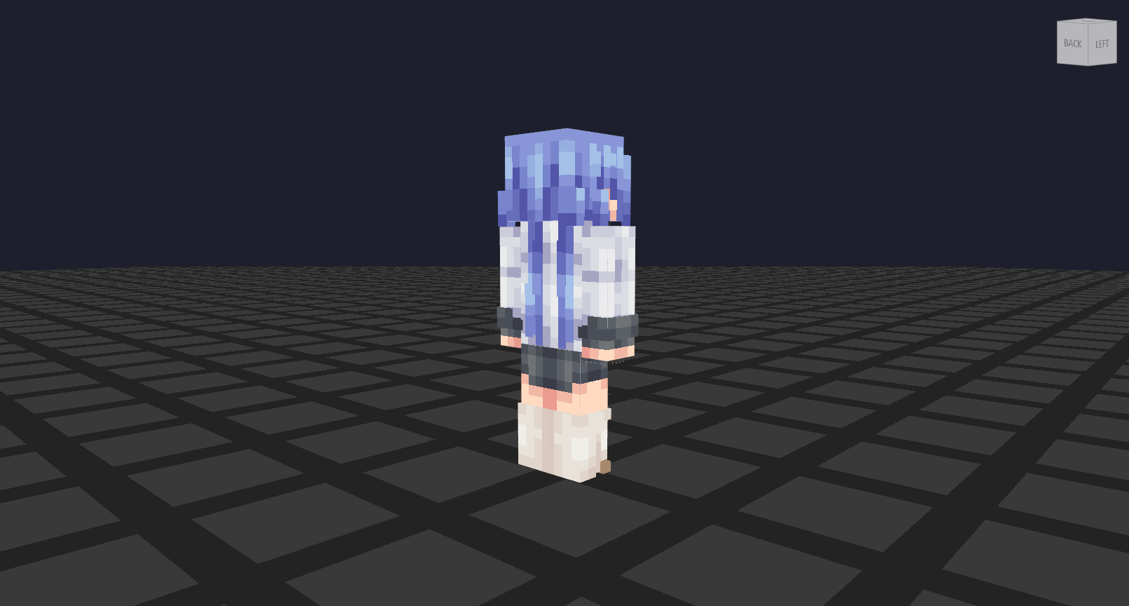 洛琪希背面.png