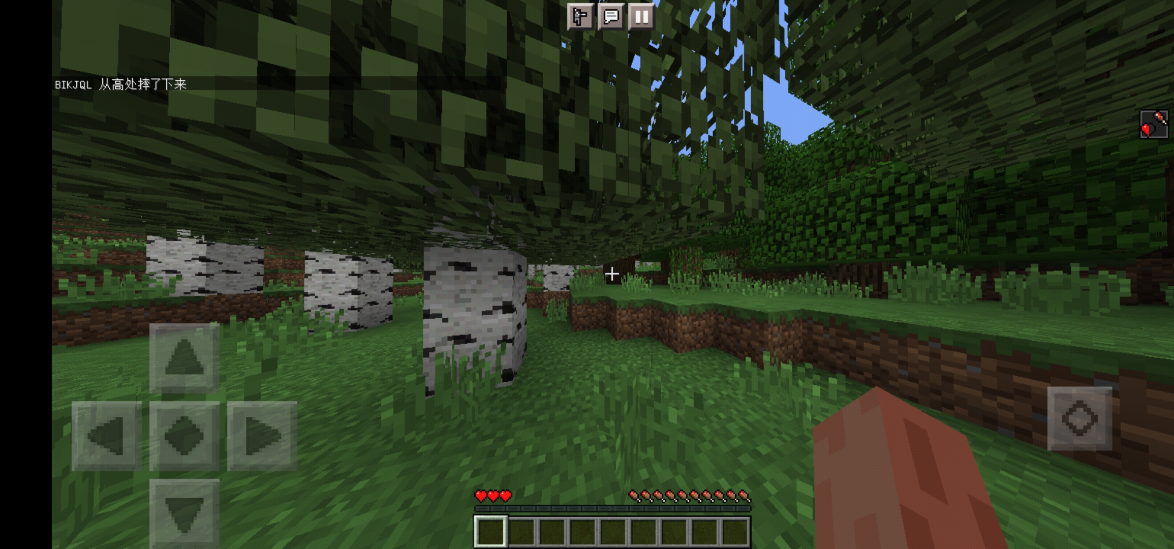 Screenshot_20220221_222317_com.mojang.minecraftpe.jpg