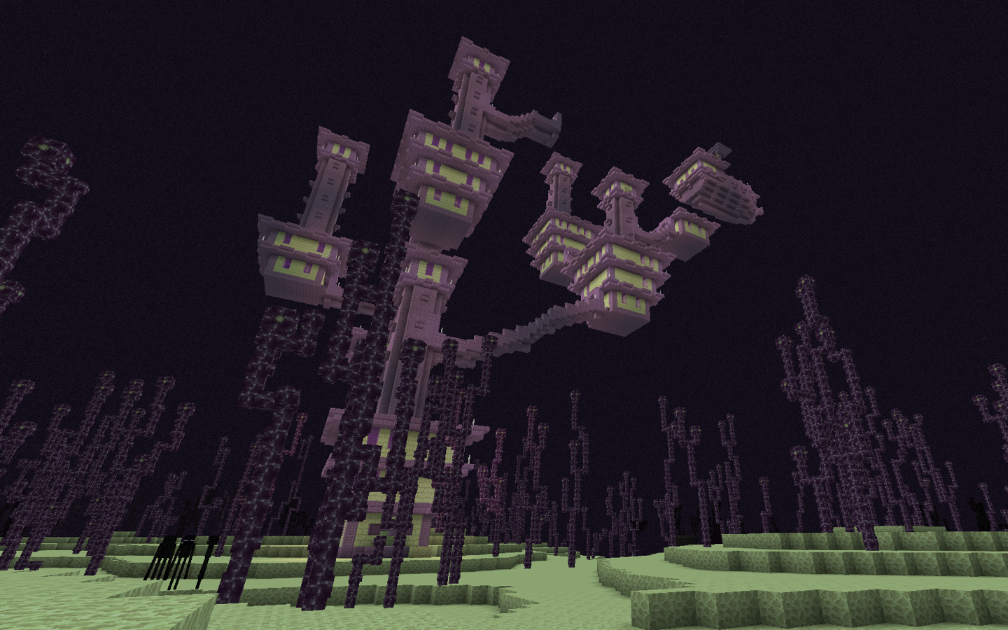 Mycelium_JE2_BE2.png