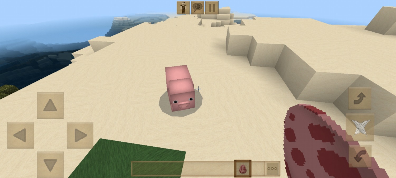 Screenshot_20220312_163349_com.mojang.minecraftpe.jpg