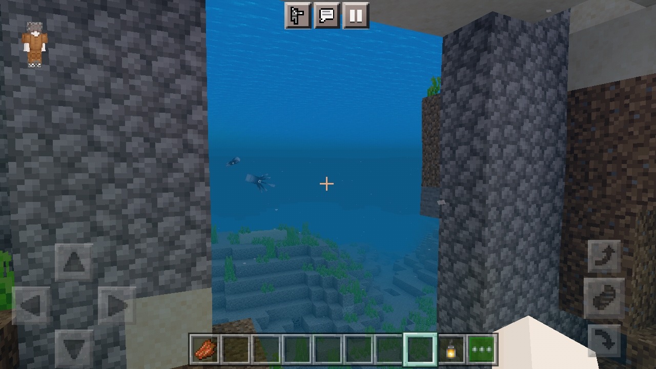 Screenshot_2022-03-27-15-35-39-926_com.mojang.minecraftpe.jpg