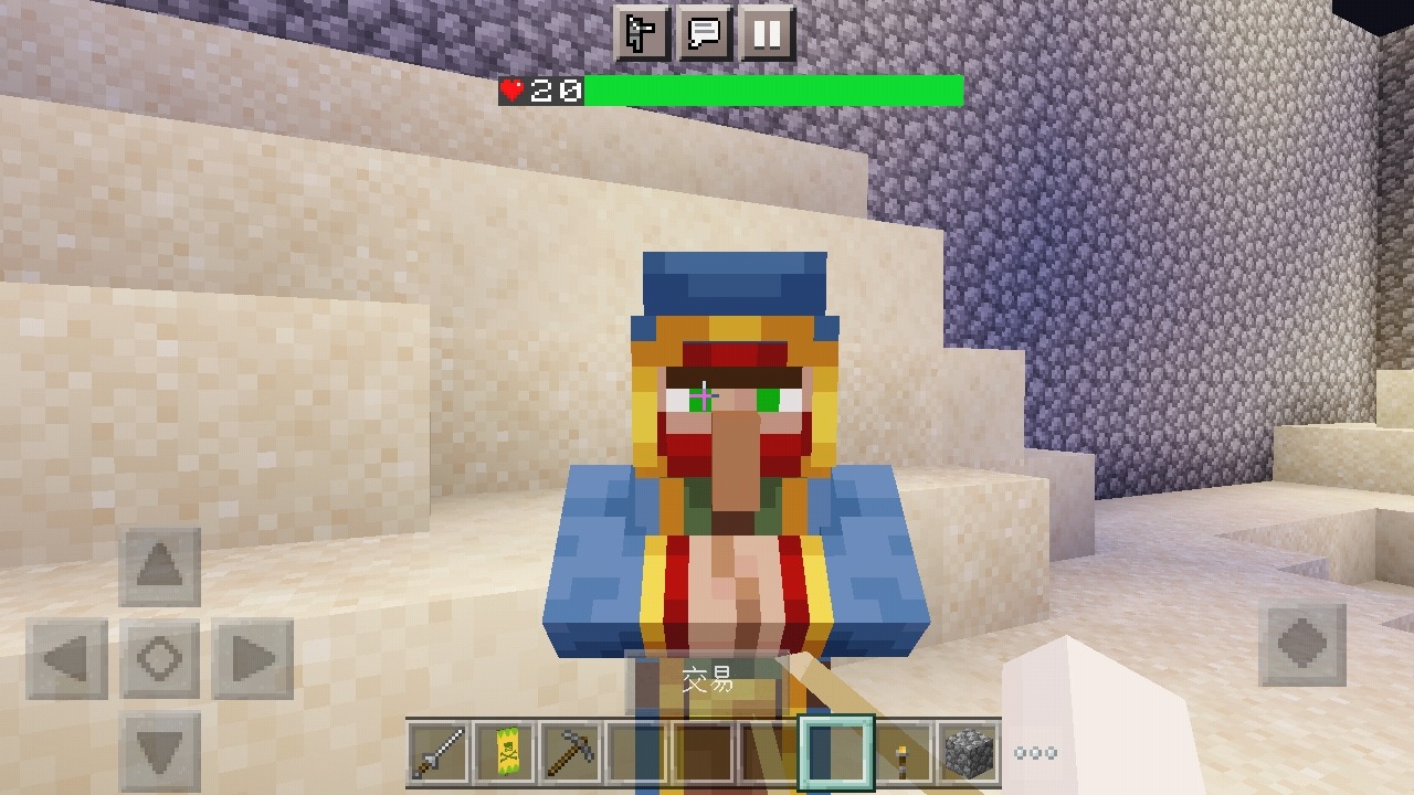 Screenshot_2022-03-27-22-07-50-497_com.mojang.minecraftpe.jpg