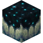 150 (1).png