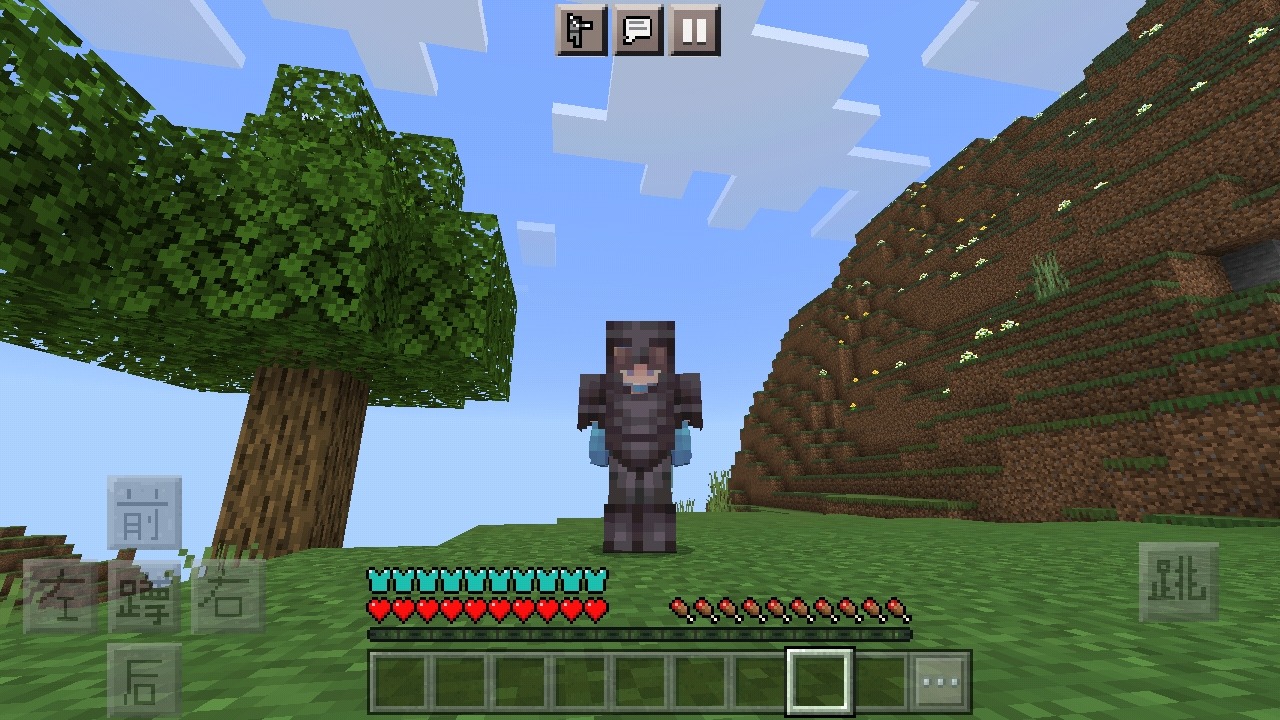 Screenshot_2022-04-21-19-21-29-707_com.mojang.minecraftpe.jpg