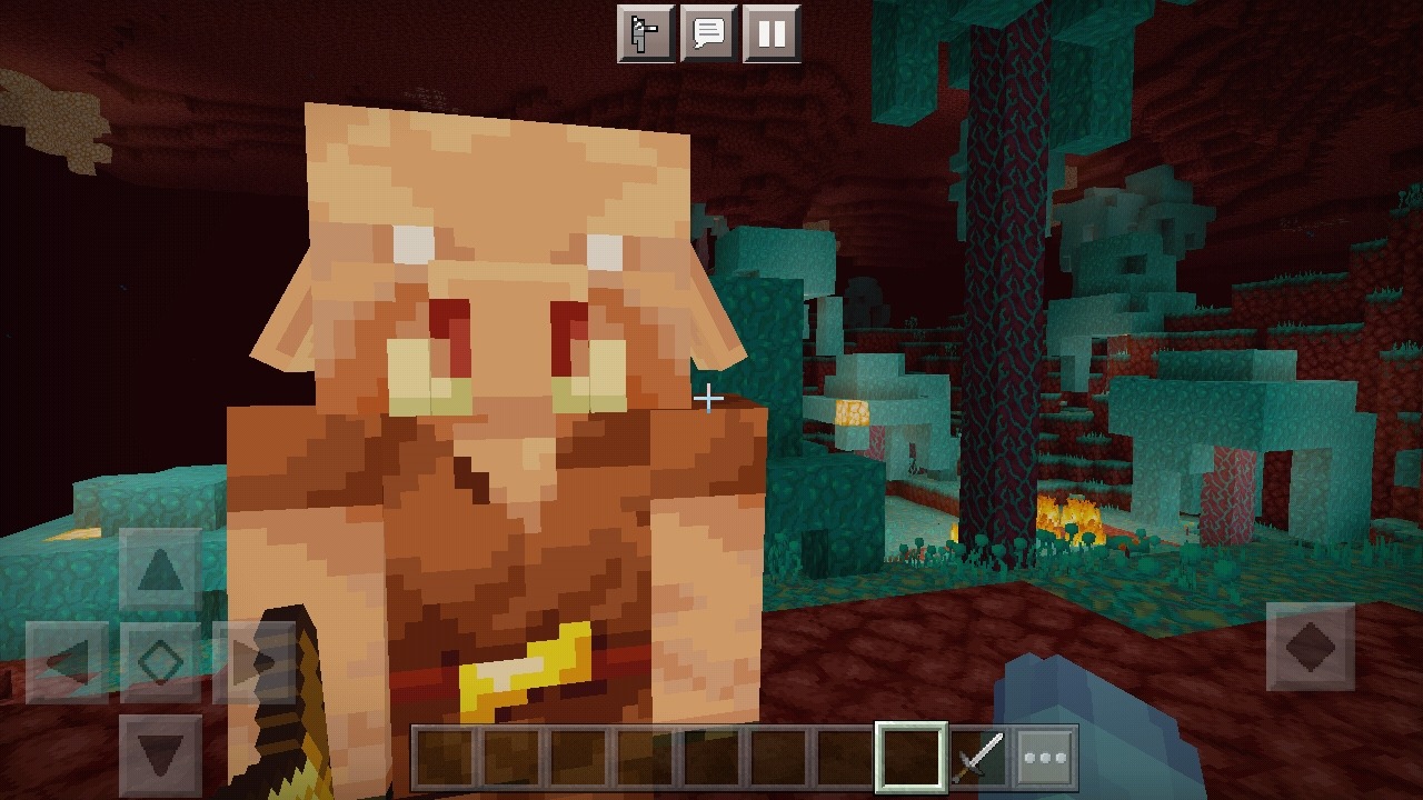 Screenshot_2022-04-23-12-39-13-432_com.mojang.minecraftpe.jpg