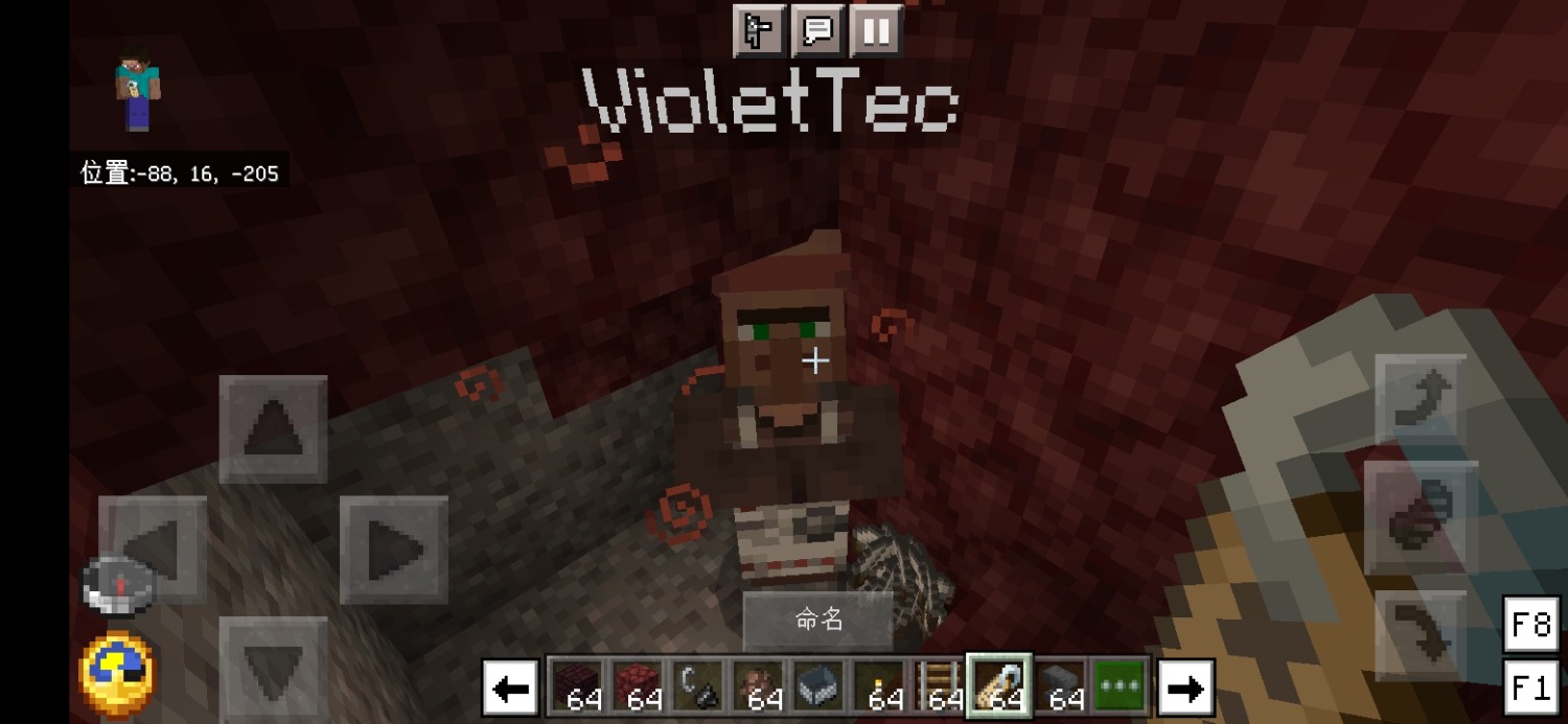 Screenshot_20220611_182437_com.mojang.minecraftpe.jpg