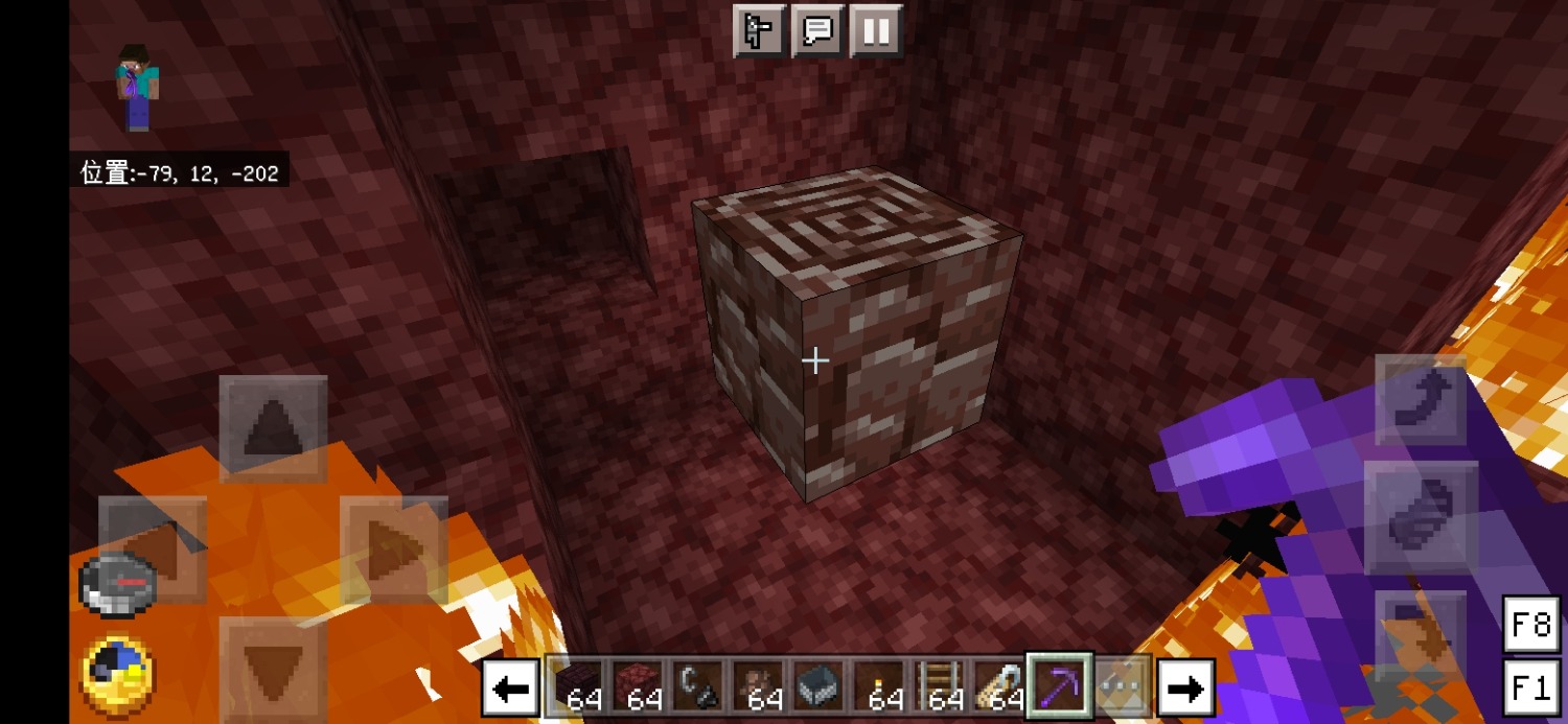 Screenshot_20220611_182648_com.mojang.minecraftpe.jpg