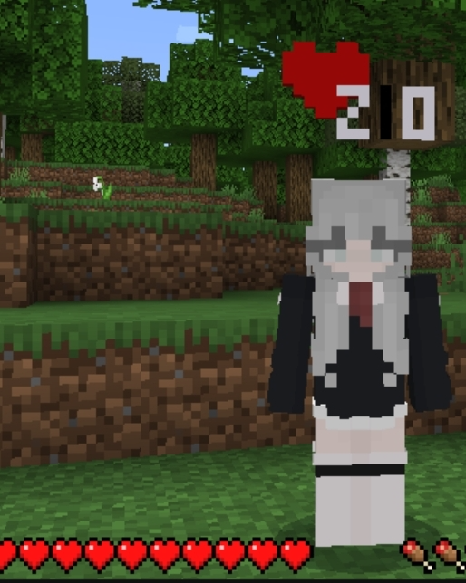pack_icon.png