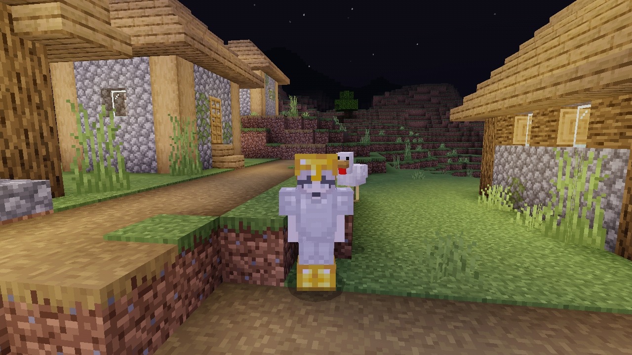 Screenshot_2022-06-29-21-47-38-712_com.mojang.minecraftpe.jpg