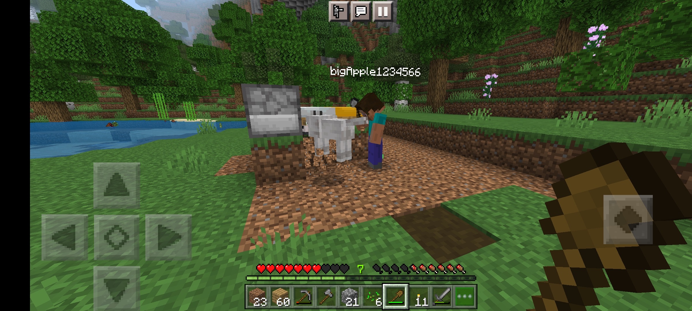 Screenshot_2022-07-21-16-29-03-987_com.mojang.minecraftpe.jpg