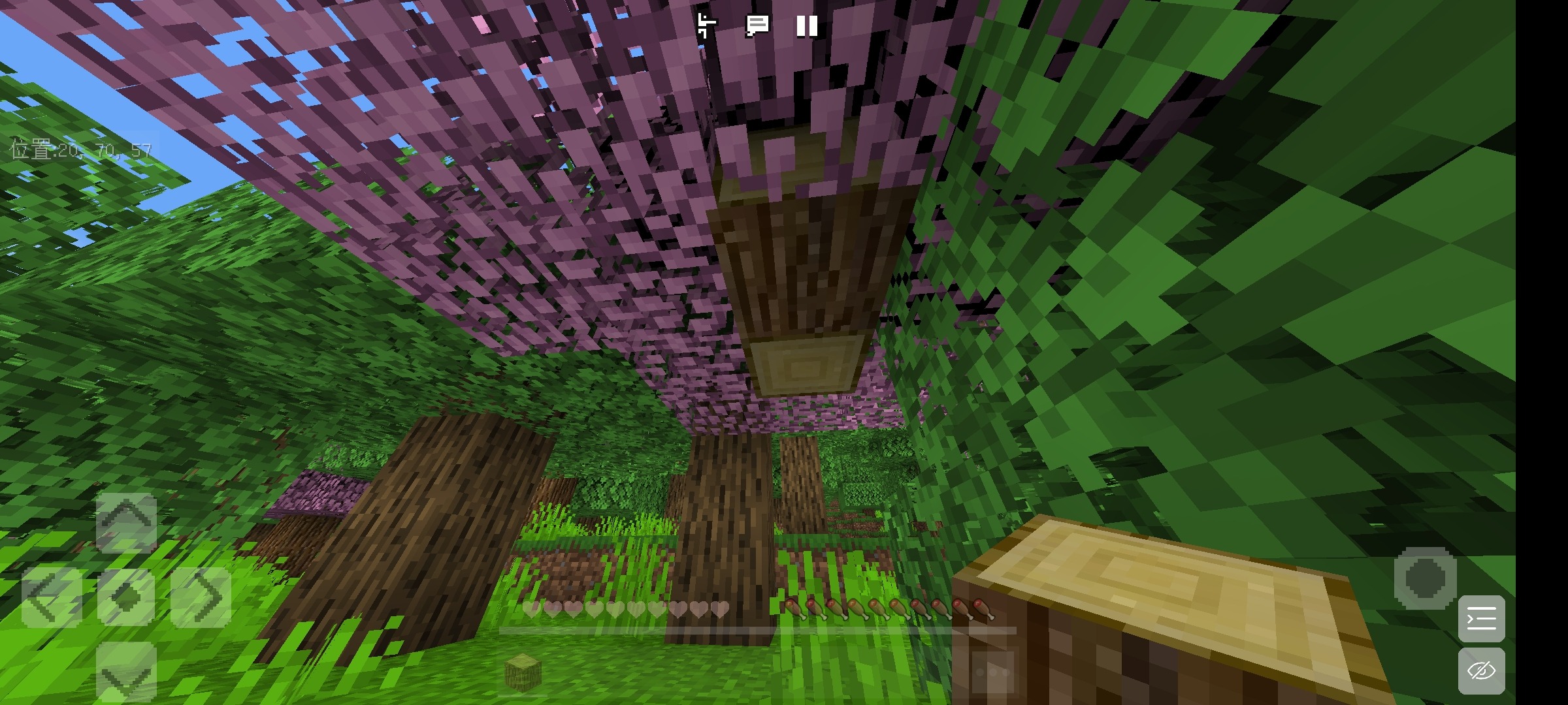 Screenshot_2022-07-23-06-45-30-894_com.mojang.minecraftpe.jpg