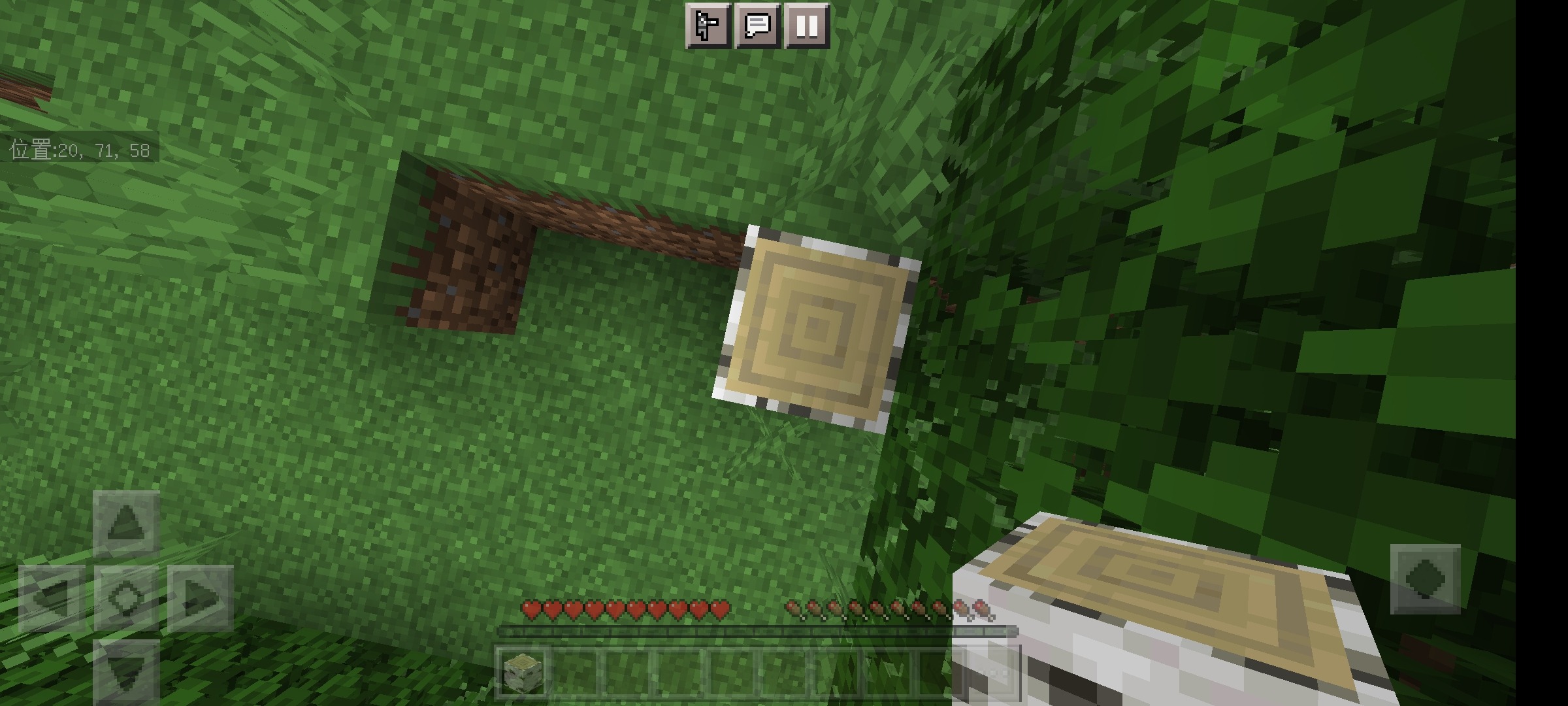 Screenshot_2022-07-23-06-45-30-894_com.mojang.minecraftpe.jpg