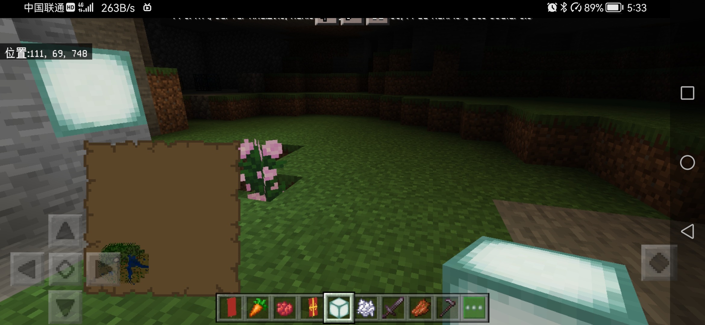Screenshot_20220828_053549_com.mojang.minecraftpe.jpg