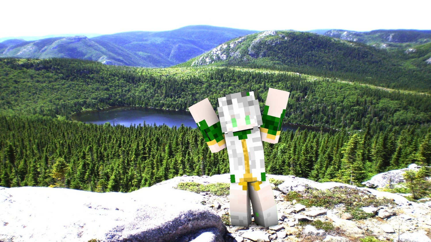 minecraftirlmountainview.jpg