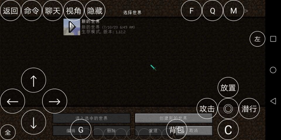 IMG_20221003115916882.jpg