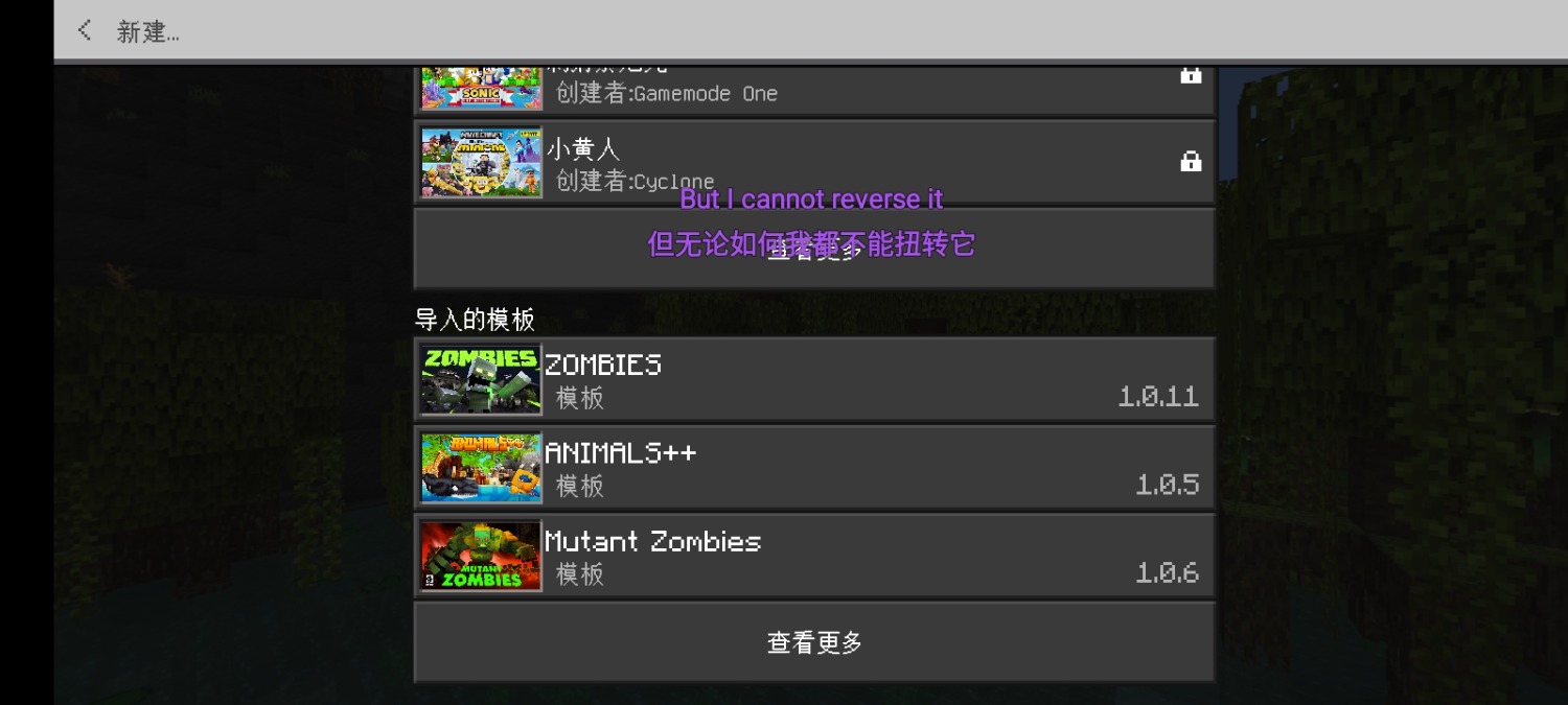 Screenshot_2022-11-14-20-51-13-170_com.mojang.minecraftpe.jpg