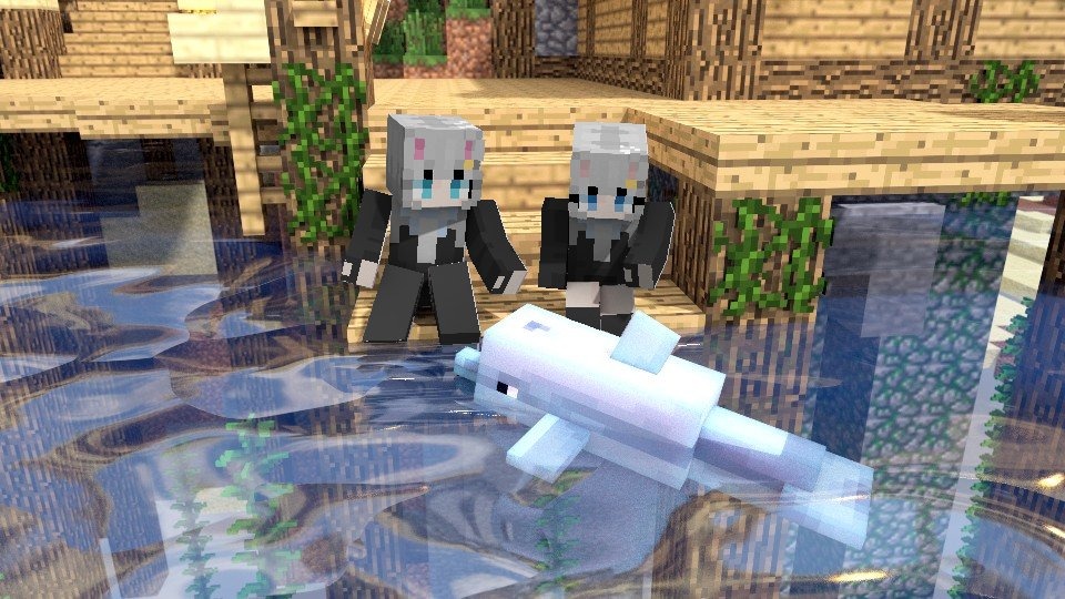 dolphinpetwallpaper.jpg