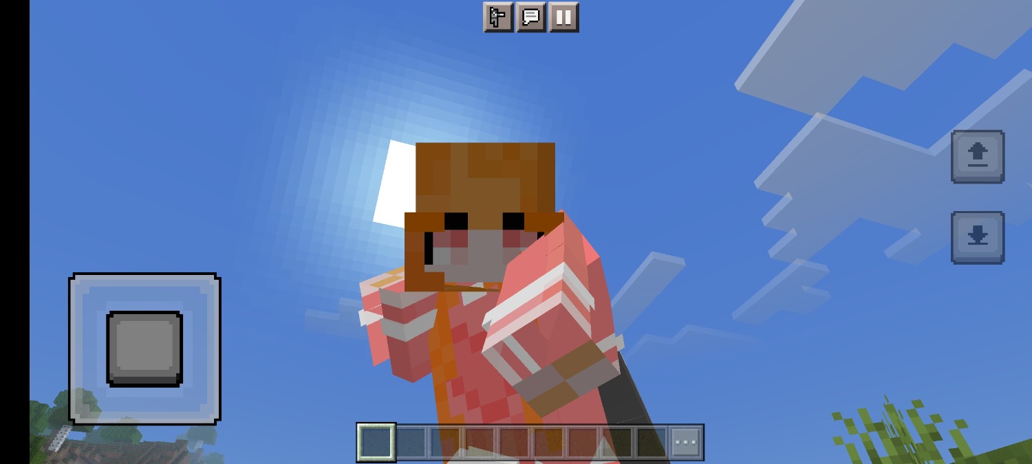 Screenshot_2022-12-15-12-30-47-137_com.mojang.minecraftpe.jpg