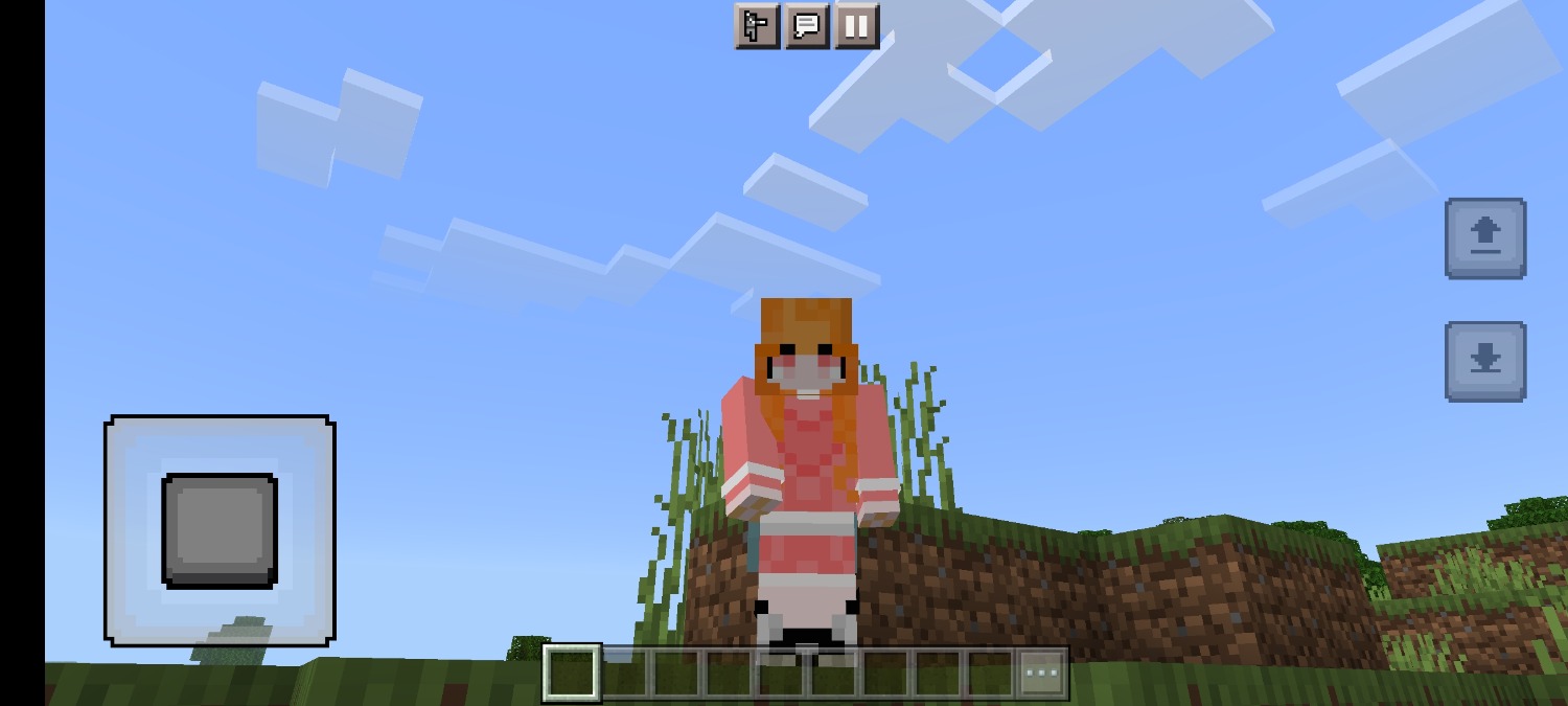 Screenshot_2022-12-15-12-34-46-357_com.mojang.minecraftpe.jpg