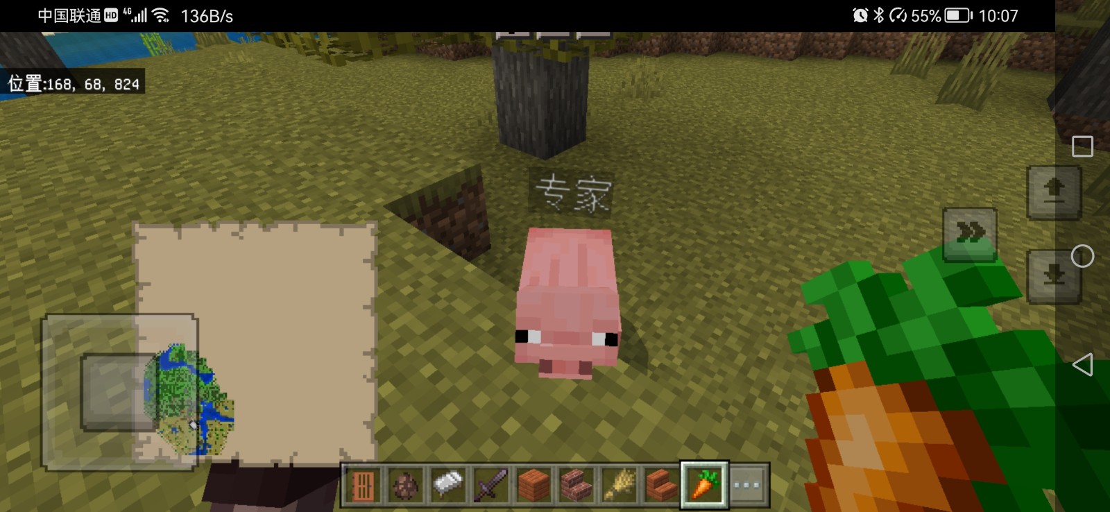 Screenshot_20230113_220716_com.mojang.minecraftpe.jpg