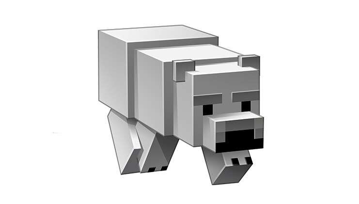 Polar-model2.jpg