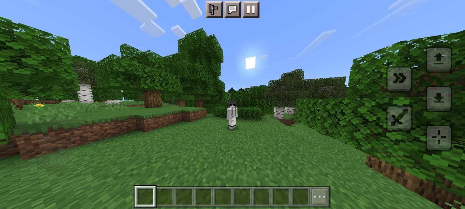 Screenshot_2023-03-10-22-18-51-175_com.mojang.minecraftpe.jpg
