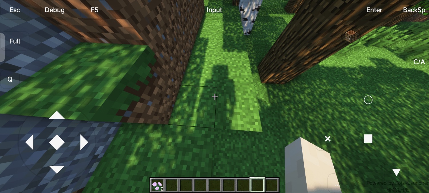 Screenshot_2023-05-19-20-45-12-965_com.tungsten.hmclpe.jpg