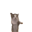 332fa62e277adb43.gif