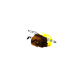 619386.png