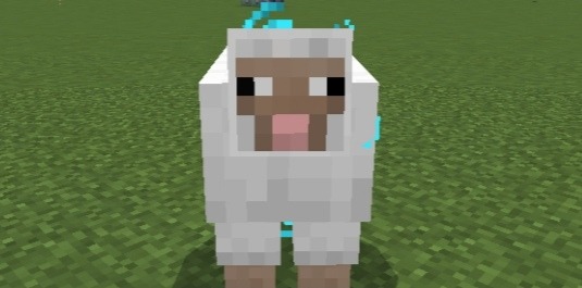 Screenshot_20230823_091630.jpg