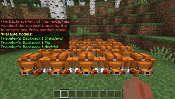 d41ad8258e005ea1.jpeg