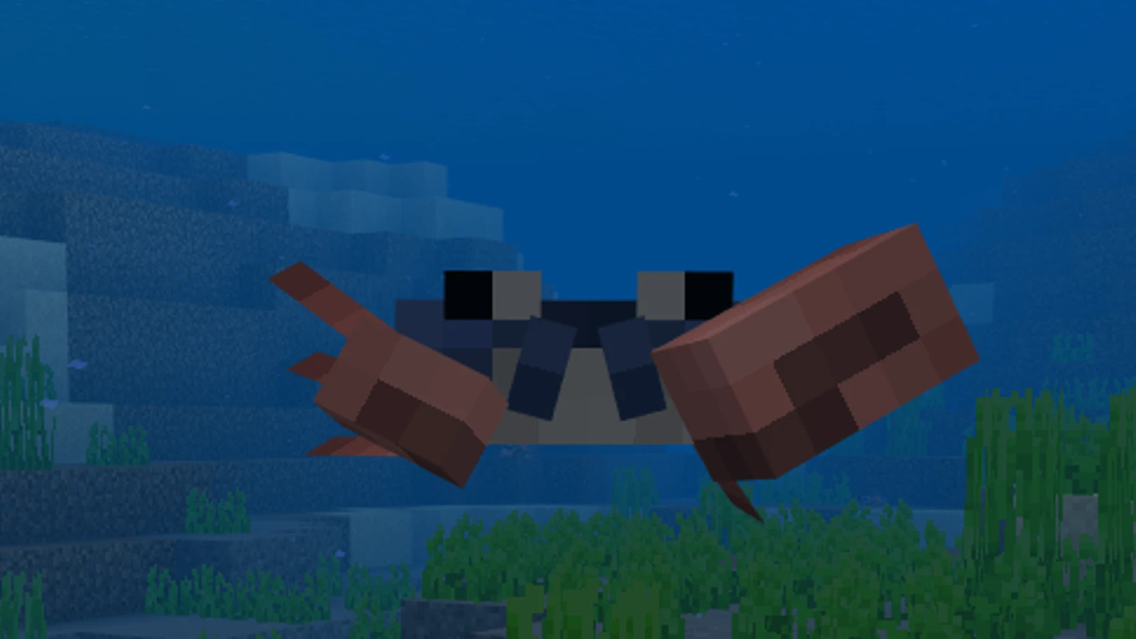 0146-3.png